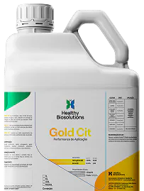 Gold Cit - Galão