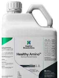 Healthy Amino - Galão