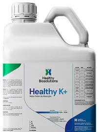 Healthy K+ - Galão