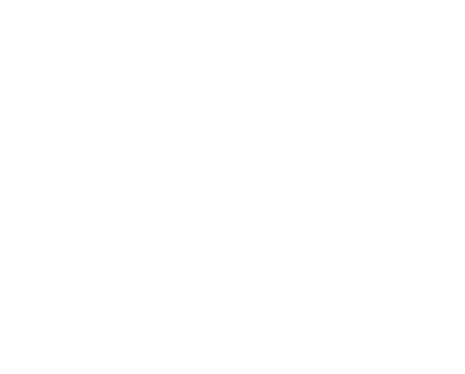 visão