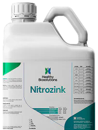 Nitrozink - Galão