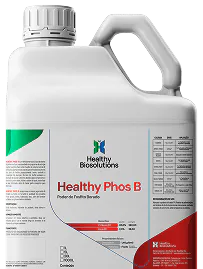 Healthy Phos B - Galão