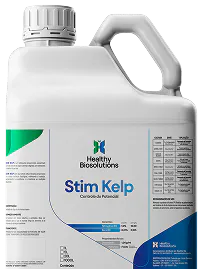 Stim Kelp - Galão