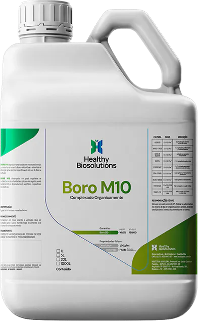Boro M10
