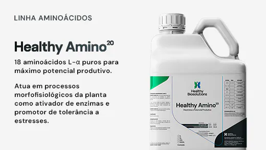 Healthy Amino