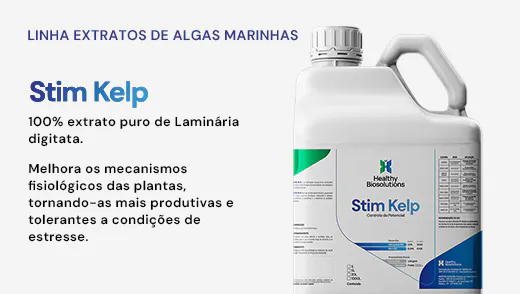 Stim Kelp