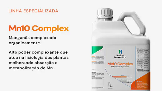 Mn10 Complex
