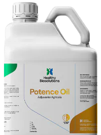 Potence Oil - mini